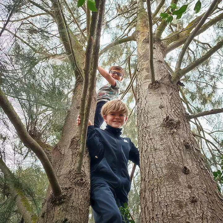 A child climbing a tree at camp