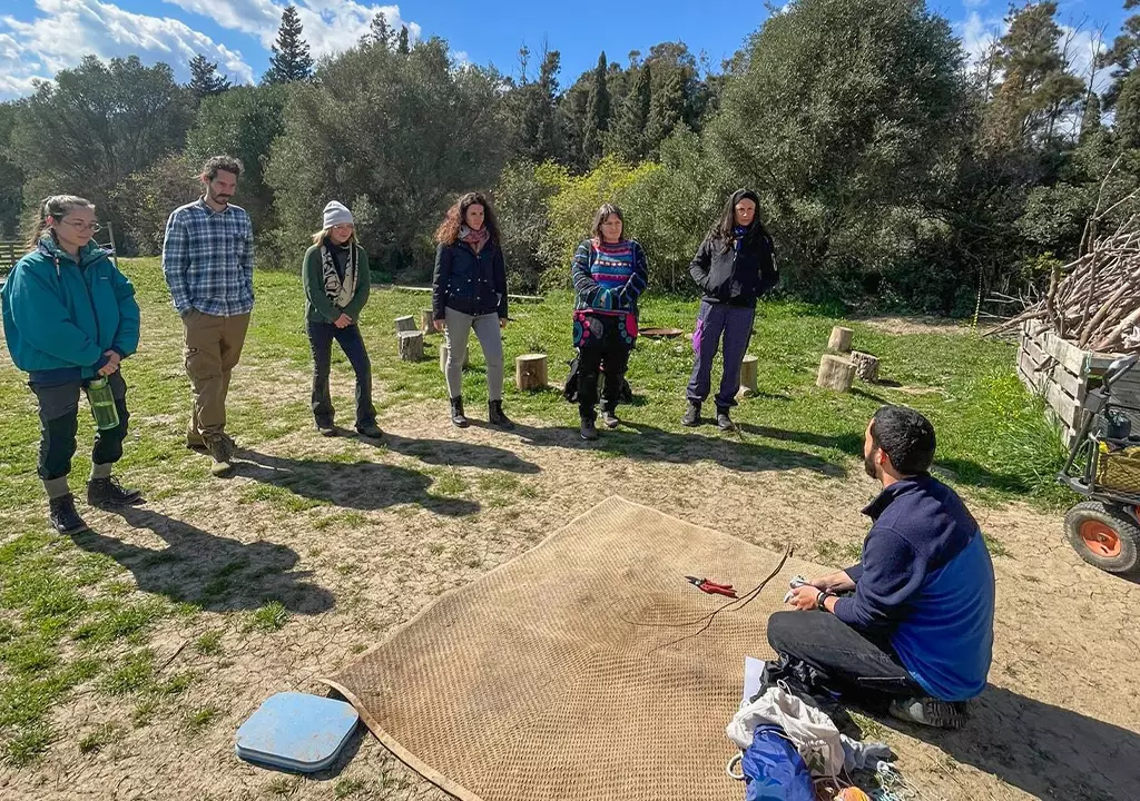 Forest School tool training